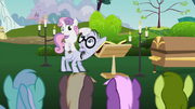 S02E17 Sweetie Belle na pogrzebie