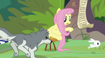 Sandra chases Angel past Fluttershy S9E18