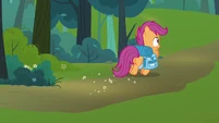 Scootaloo looking everywhere for Rainbow Dash