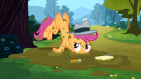 Silly Scootaloo, chickens can't fly!