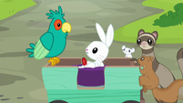 Animals gather around injured Angel Bunny S7E5