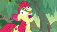 Apple Bloom's muzzle snags on a vine S9E22