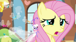 Fluttershy "has it been an hour already" S4E16.png
