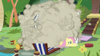 Fluttershy and Angel in an animal brawl S9E18