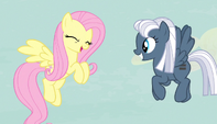 Fluttershy suelta una risita EMC-P1