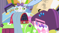 All of Rarity's stuff along with Opal.