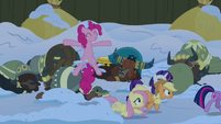 Pinkie Pie pops out of the snow near the yaks S7E11