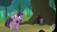 Rainbow Dash calling Twilight from under a tree S3E03