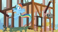 Rainbow Dash trying her best to evade the falling debris.