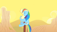 Rainbow Dash hits a sign S01E21