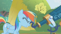 Rainbow Dash looks through telescope S1E05