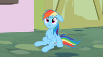 Rainbow Dash oh c'mon S2E8