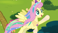 Fluttershy jest najlepszą Celestią.