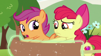 Scootaloo -non-Pegasus ponies fall through the clouds- S7E7