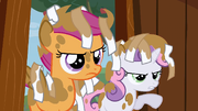 Scootaloo e Sweetie Belle sujas T2E23