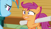 Scootaloo hides poster behind her back S8E20