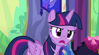 Twilight Sparkle looking disapprovingly S6E6