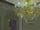 A webbed chandelier S6E9.png