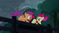 Apple Bloom and Scootaloo standing on a fence S5E6