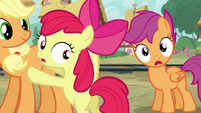 Apple Bloom and Scootaloo worried S03E11