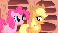 Seems like Applejack still doubts Pinkie.