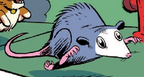 Tiberius, an opossum, in Micro-Series Issue #10