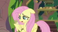 Fluttershy holding her rolled-up to-do list S9E18