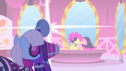 Photo Finish taking a photo of Fluttershy S01E20