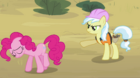 Pinkie Pie walking off construction site S4E12