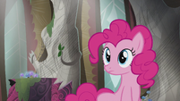 Pinkie sees Rainbow flying S5E8
