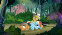 Rainbow, Quibble, and Daring in a pile S6E13