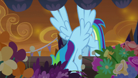 Rainbow Dash finds something S9E2