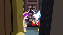 Shining Armor talking to Cadance S2E25