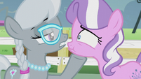 Silver Spoon pushes Diamond Tiara's jaw back up S5E18