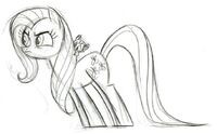 643px-Fluttershy TheStare Sketch