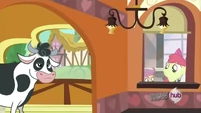 Apple Bloom, that's a cow.