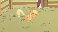 Applejack doing a trick with a lasso S1E13