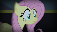 Fluttershy considering Spike's logic S5E21