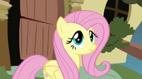 Fluttershy says no to Iron Will for the first time S2E19