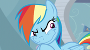 Rainbow Dash's Grinch smile S05E05