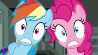 Rainbow Dash and Pinkie Pie in complete shock S7E18