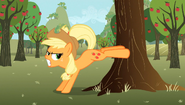 S02E15 Applejack kopie w drzewo