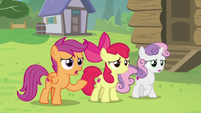 Scootaloo "you can't be a blank flank forever!" S7E21