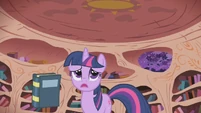 Back in the library, Twilight Sparkle looks for books on the elusive Elements of Harmony.