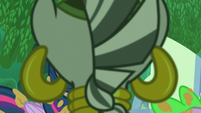 Zecora looking at Twilight S5E26