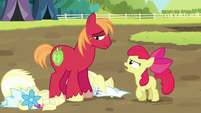 Apple Bloom angry "I should've known" S5E17