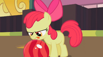 Apple Bloom, trying to figure out how to hold the bowling ball.