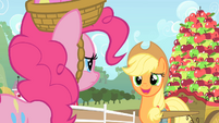 Pinkie scrutinizes Applejack when she stutters something about having to pick apples.