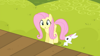 Fluttershy 'No!' S4E14