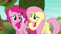 Fluttershy --most ponies have never even heard of-- S6E18